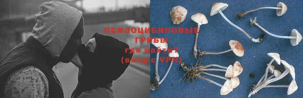соль ск Беломорск