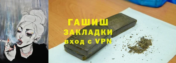 индика Михайловск