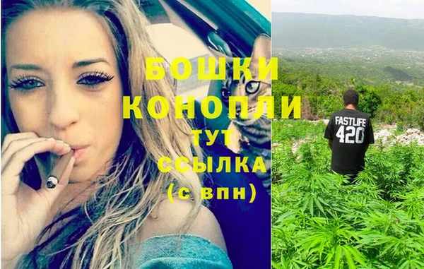 индика Михайловск
