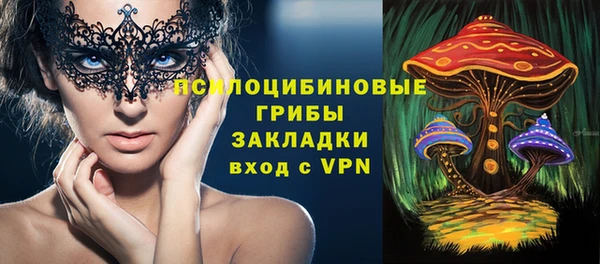 прущий лед Белокуриха